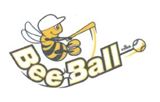 Turnaj v BeeBallu – dětský softball